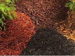 Фото избранной категории 11