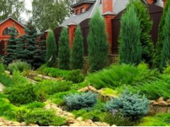 Фото избранной категории 5