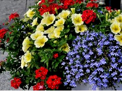 Фото избранной категории 8