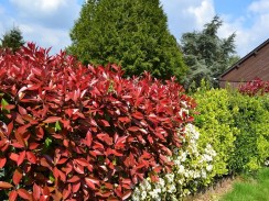 Фото избранной категории 2