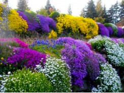 Фото избранной категории 3