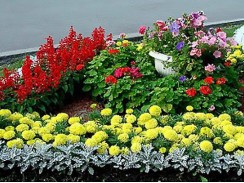 Фото избранной категории 7