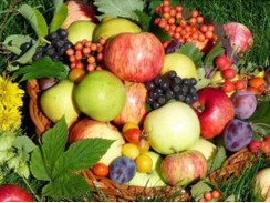 Фото избранной категории 6