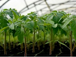 Фото избранной категории 9