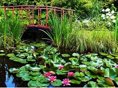 Фото избранной категории 10