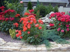 Фото избранной категории 4