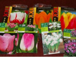 Фото избранной категории 13