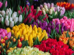 Фото избранной категории 1