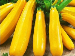 Кабачок "Орелия" (Контейнер 0,3л.)