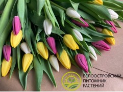 Букет "Весенний калейдоскоп"